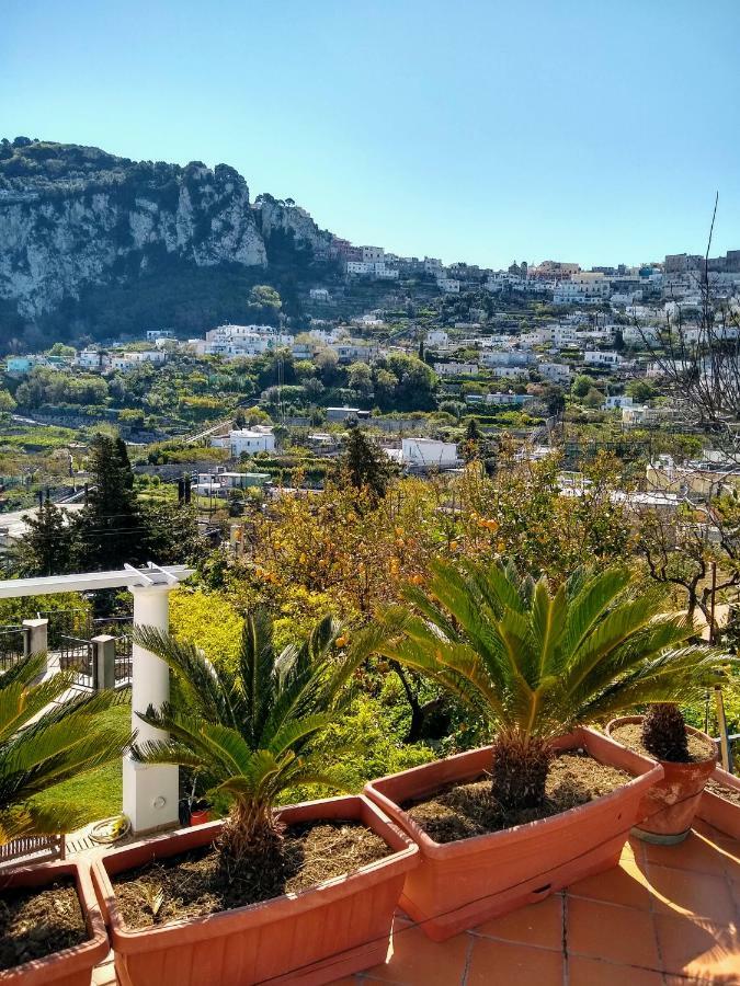 Casa Paolina - Casa Vacanze Capri Ngoại thất bức ảnh