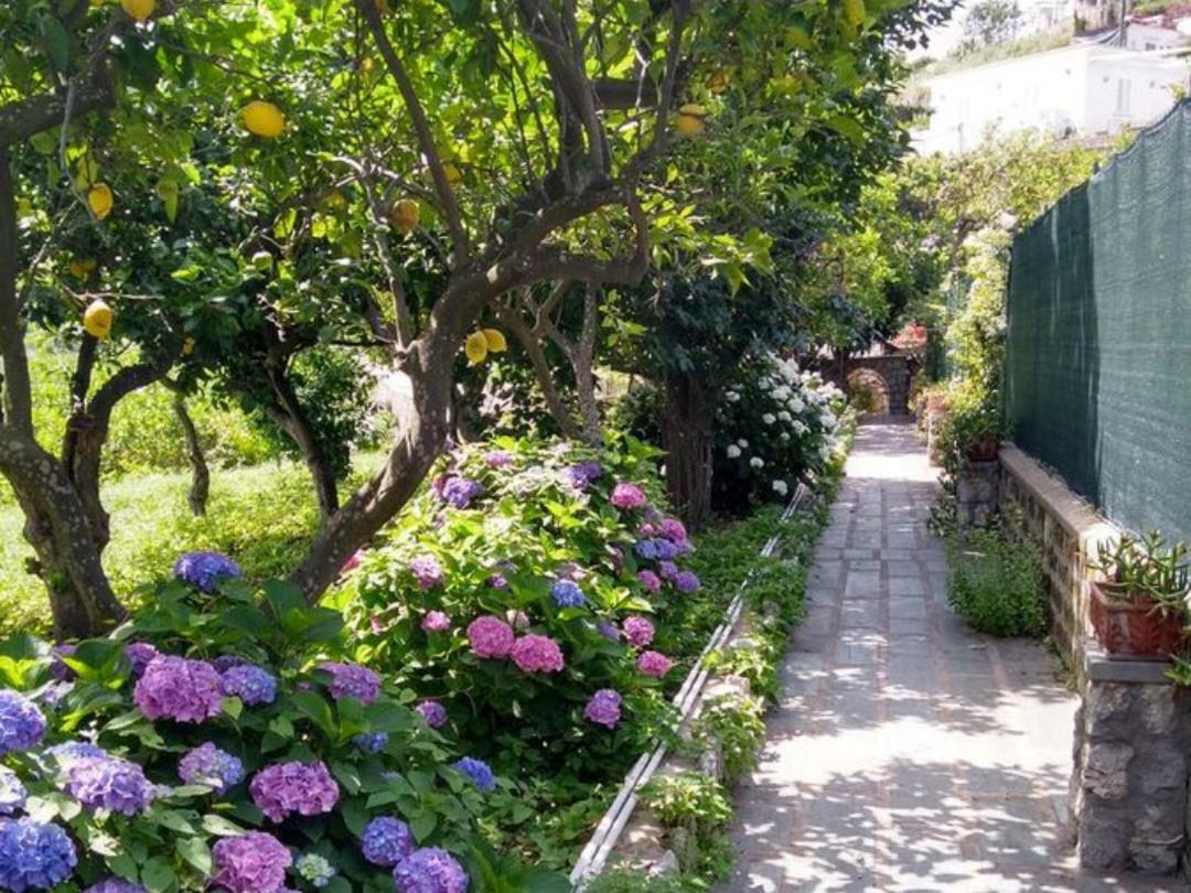 Casa Paolina - Casa Vacanze Capri Ngoại thất bức ảnh